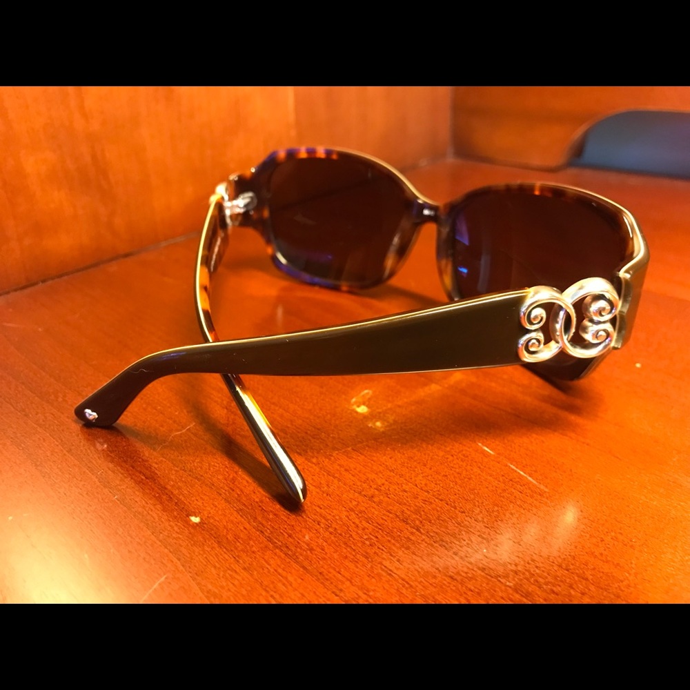 Women’s Brighton Sunglasses